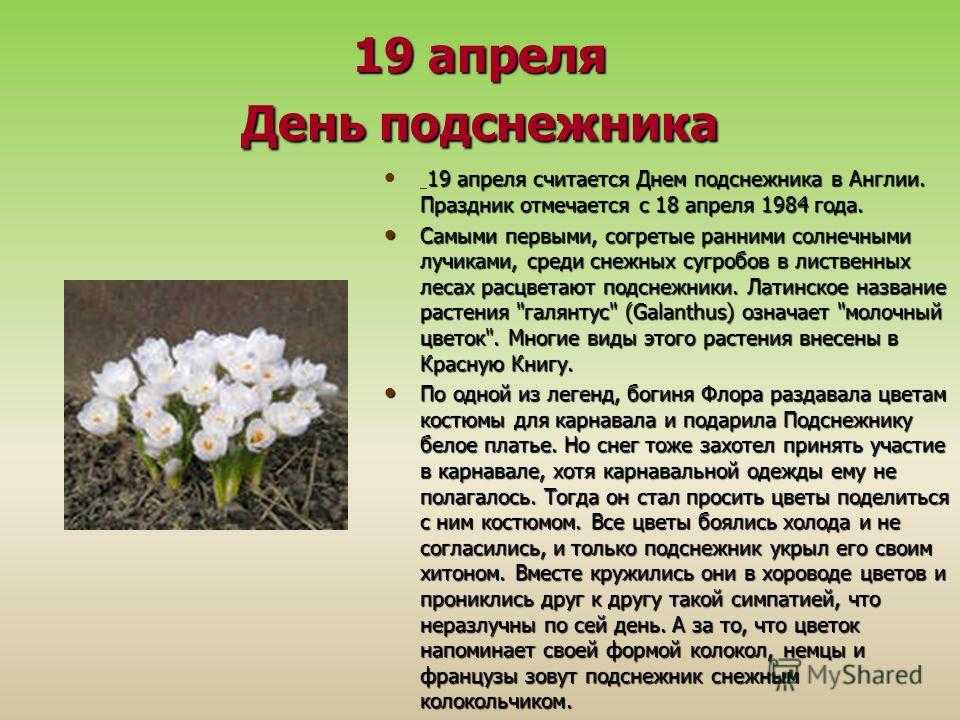 19 апреля праздники картинки